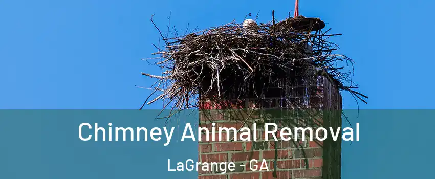  Chimney Animal Removal LaGrange - GA