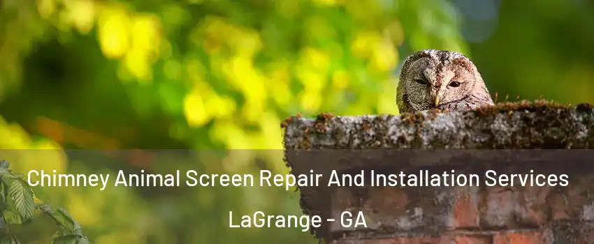  Chimney Animal Screen Repair And Installation Services LaGrange - GA