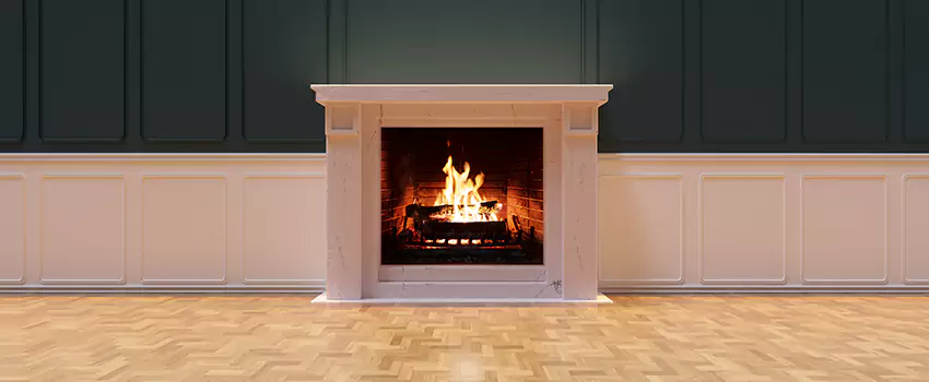 Napoleon Electric Fireplaces Inspection Service in LaGrange, Georgia