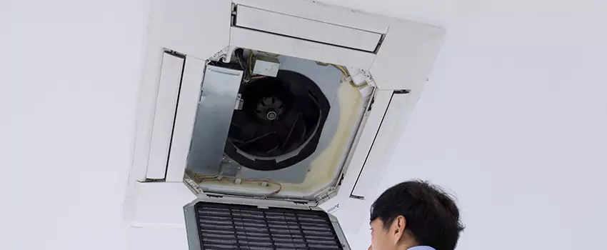 Benefits of Professional Air Duct Cleaning in LaGrange, Georgia