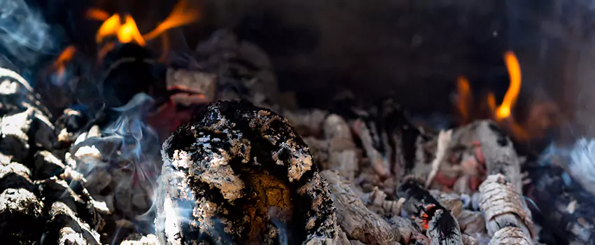 Creosote Removal Experts in LaGrange, GA