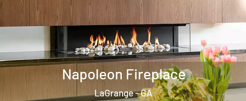  Napoleon Fireplace LaGrange - GA